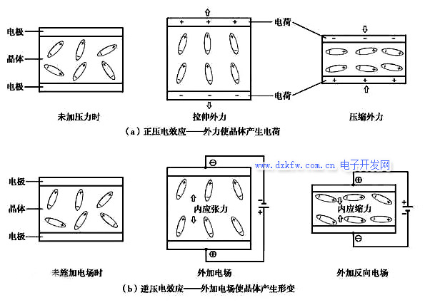 逆压电效应和正压电效应