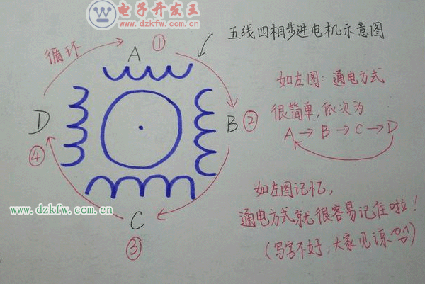 五线四相步进电机结构示意图