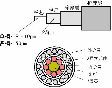 光波是什么原理_光波是什么(3)