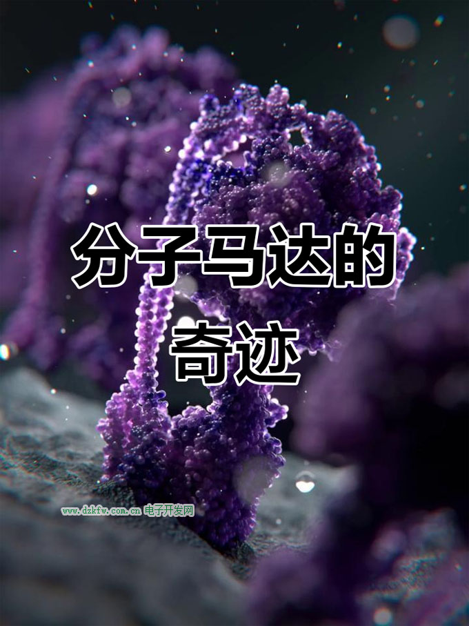imgtext1